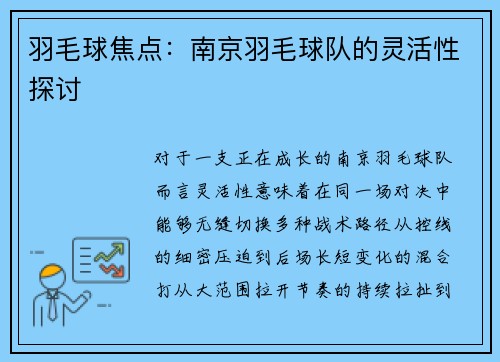 羽毛球焦点：南京羽毛球队的灵活性探讨