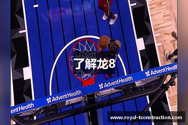 了解龙8